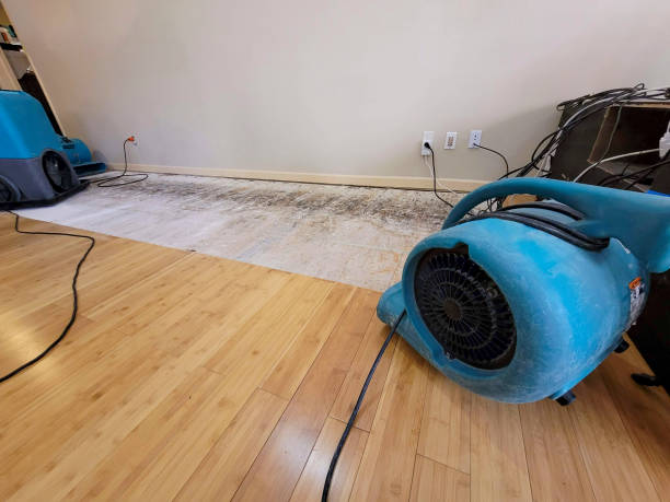 Professional Flood Damage Cleanup technician working in Montrose, AL